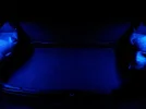 Puxies Blue Boot.webp