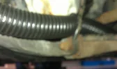 IMAG0594.webp