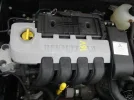 D4F712.webp