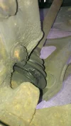 IMAG0117.webp