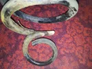 Snapped Spring.webp