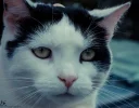 rezise.webp rezise.webp