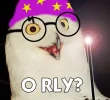 potter_o_rly_owl.webp potter_o_rly_owl.webp
