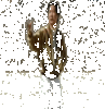rkx7c8.gif