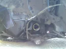acc2.webp
