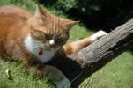 DSC_0438.webp DSC_0438.webp