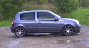all tint.webp