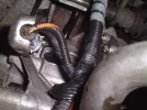 DSCF0029.webp