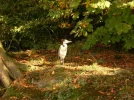 Picture 027 (Small).webp