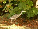 Picture 028 (Small).webp