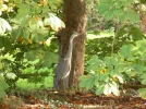 Picture 030 (Small).webp
