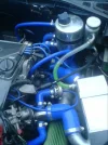 DSC00230.webp