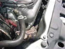 snake3.webp
