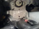 DSC00424.webp