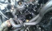 uploadfromtaptalk1369069691565.webp