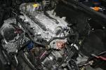 bleed_bolt.webp