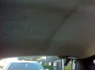 425294_10151517064943143_2097351640_n.webp
