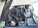 5 (Large).webp