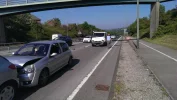 IMAG0513.jpg