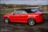 DSC00817wd.jpg