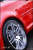 DSC00833wd.jpg