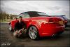 DSC00828wd.jpg