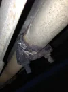 ImageUploadedByTapatalk 21374006629.006100.webp