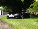 Under Tree.webp Under Tree.webp