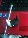 ImageUploadedByTapatalk1375211540.905180.webp