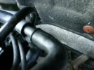 uploadfromtaptalk1376245477702.webp
