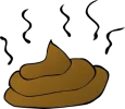 s**t.webp