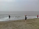 P25-04-10_1442.webp