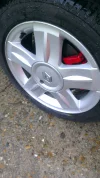 IMAG0007.webp