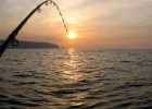 Fishing-For-Web-Traffic.webp