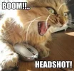 boom_headshot_cat-e1272847006235.webp