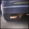 exhaust.webp