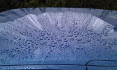 IMAG0049r.webp