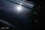 DSC04858wd.webp