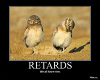 r****d-owls.jpg