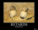 r****d-owls.webp