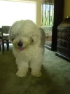 99436189.webp