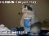 funny-pictures-sick-cat-drinks-soda.jpg