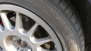 IMAG0409.webp