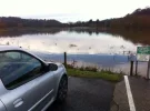 flooded field.webp