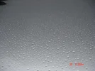 DSC03094.webp