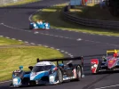 epcp_0810_05_z+2008_le_mans_24_hour_series_race+battle_for_first.webp