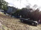 P1012429.webp