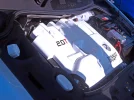 P7253744.webp