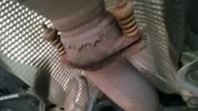 temporary_zpsbc906875.webp