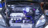 Clio7.webp